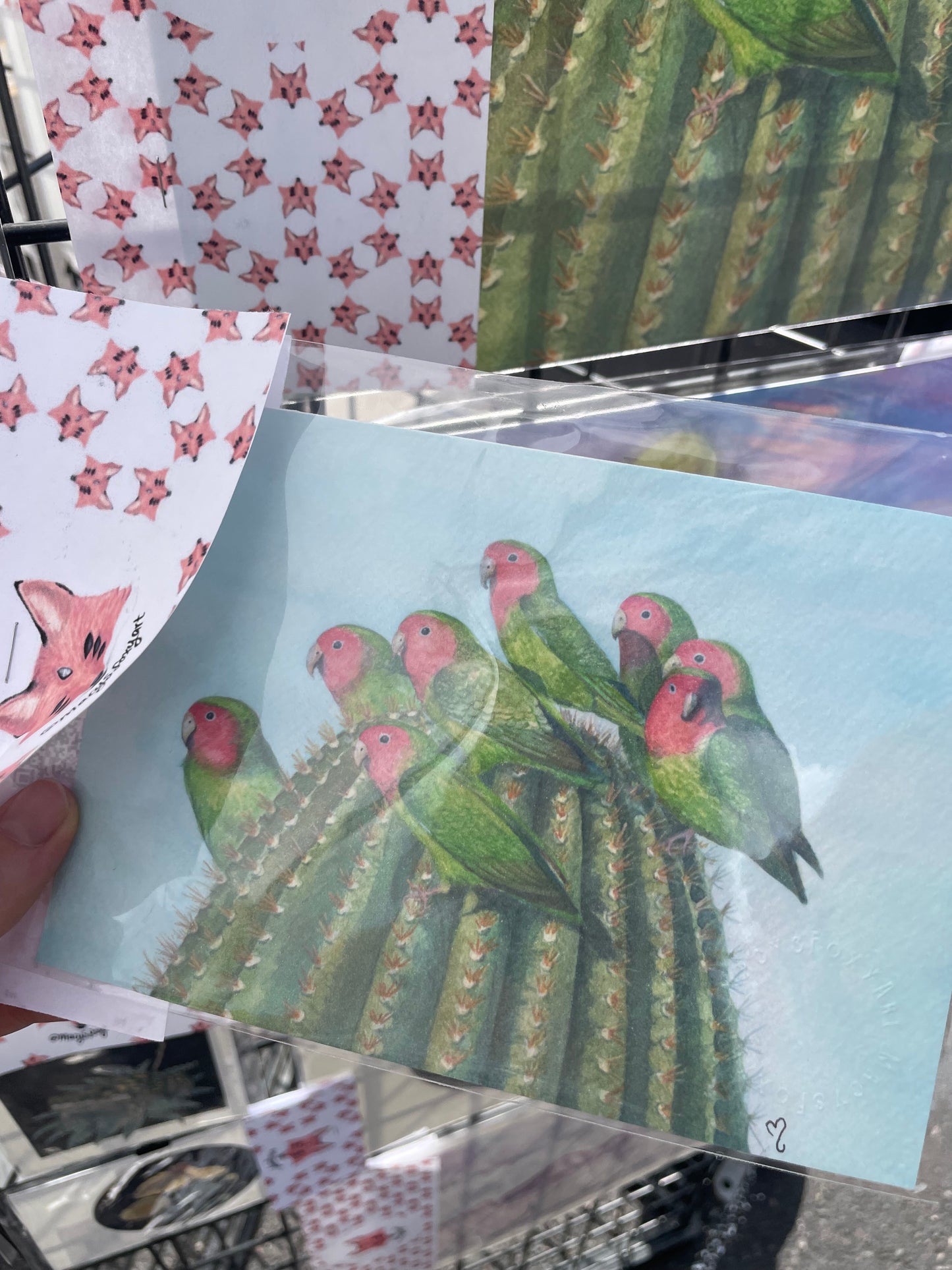 Peach faced love birds + Saguaro - Giclee fine art prints