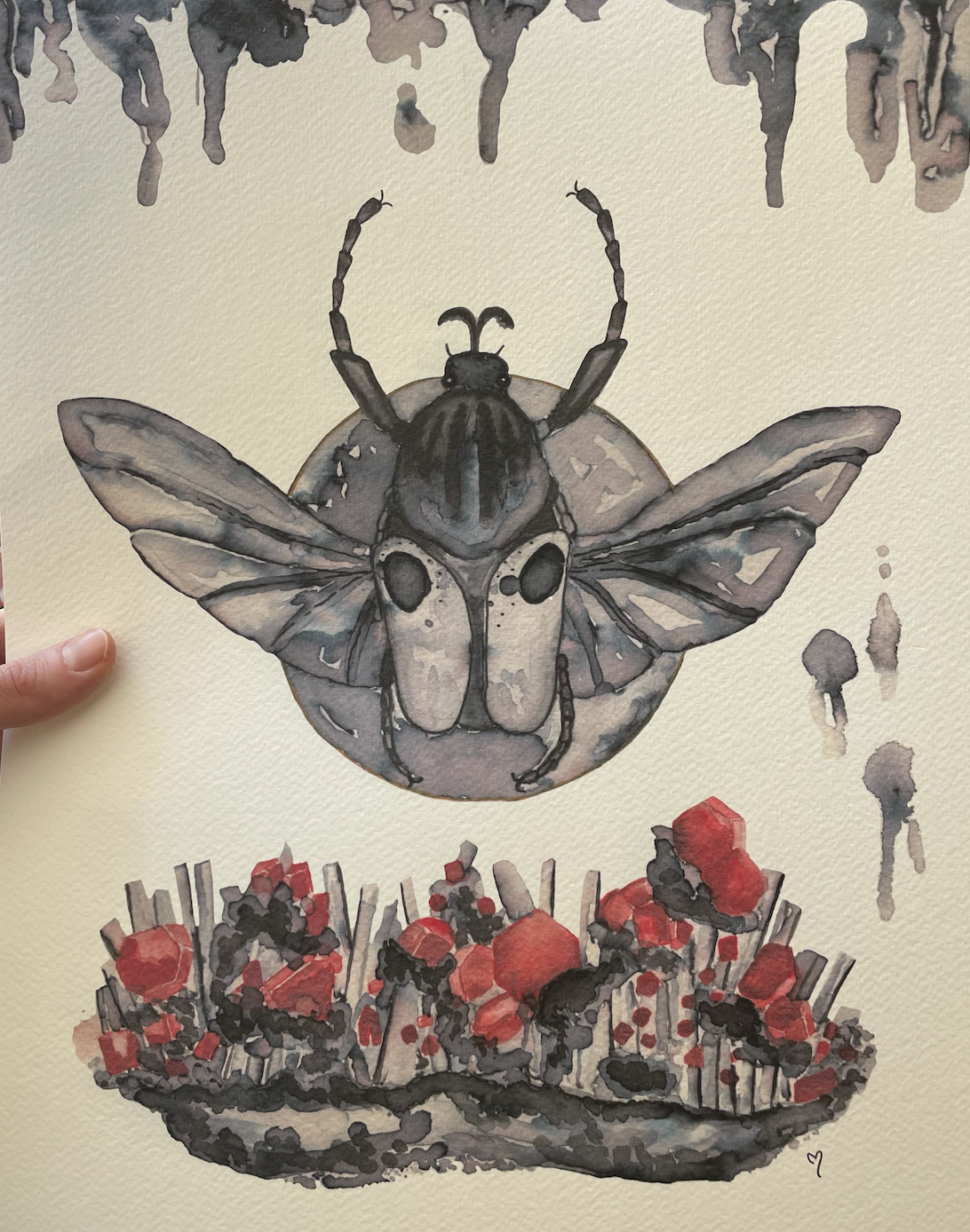 Goliath Beetle Full Moon - Giclee fine art prints
