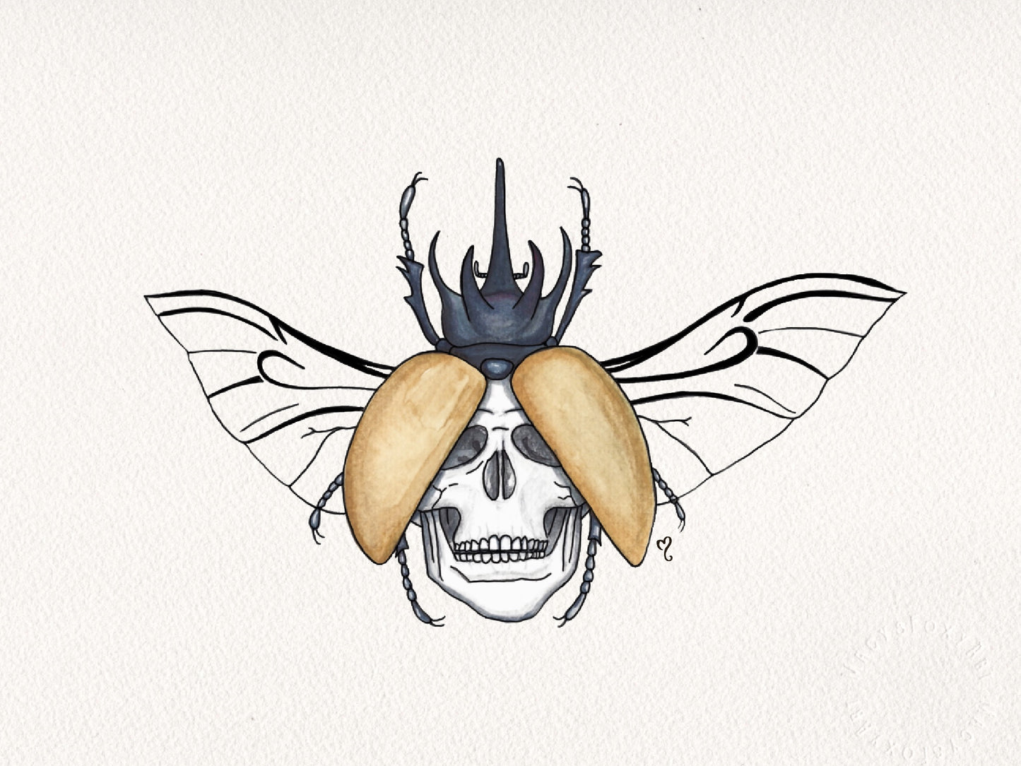 Beetle Skull - Giclee fine art prints