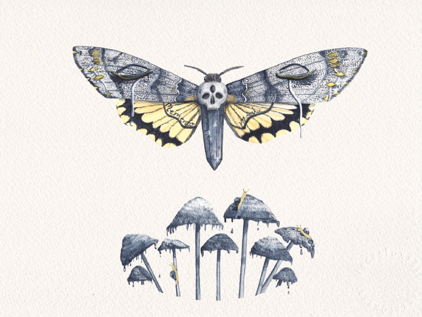 Memento Mori - Giclee fine art prints