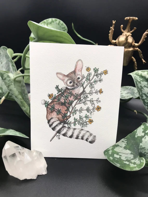 Ringtail Cat + Creosote - Giclee fine art prints