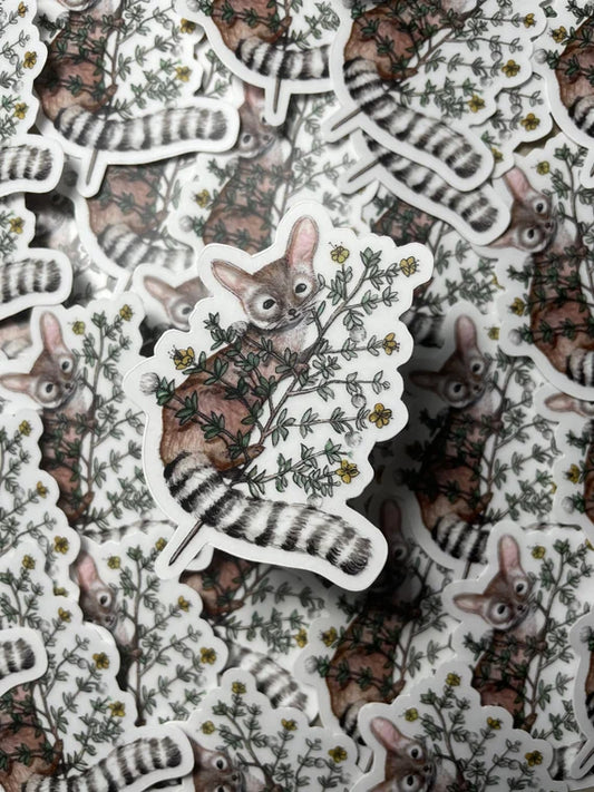 Ringtail Cat + Creosote Sticker